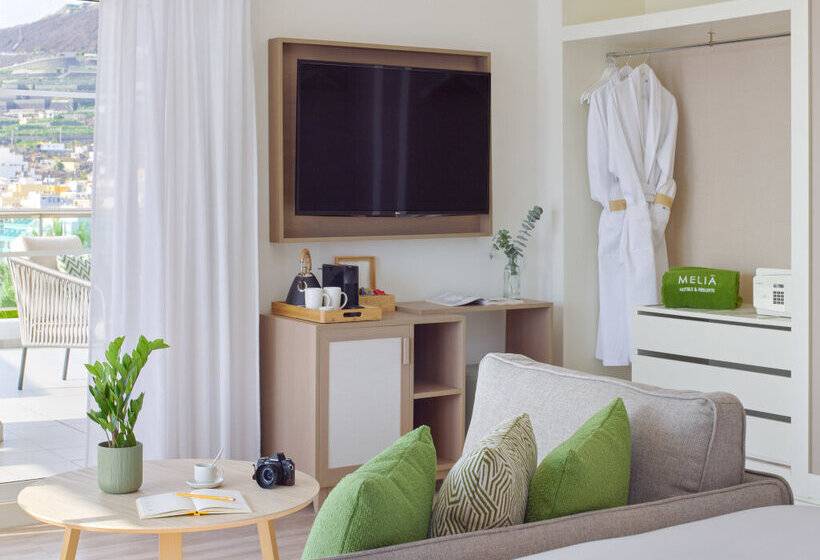 Отель Meliá La Palma