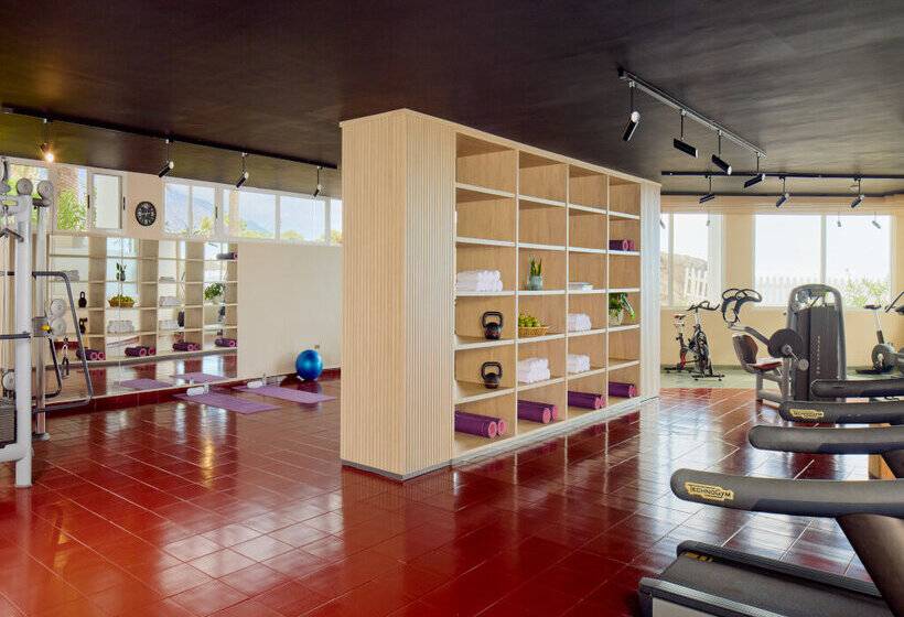 Отель Meliá La Palma