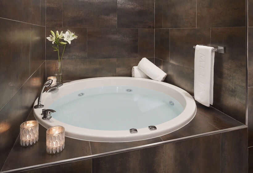 호텔 Melia Lebreros