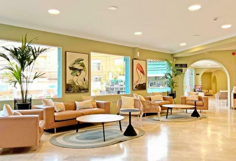 ホテル Moon Dreams Fuengirola