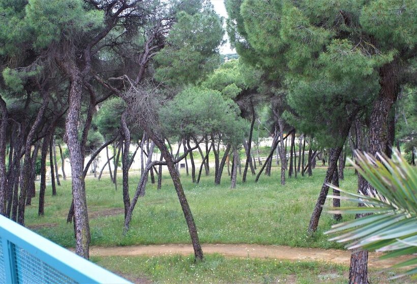 בית מלון כפרי Oromana