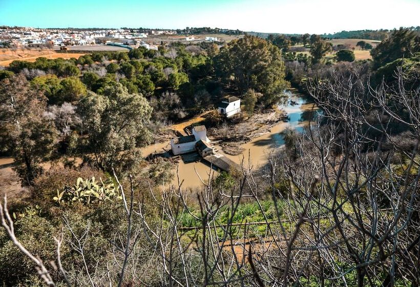 בית מלון כפרי Oromana