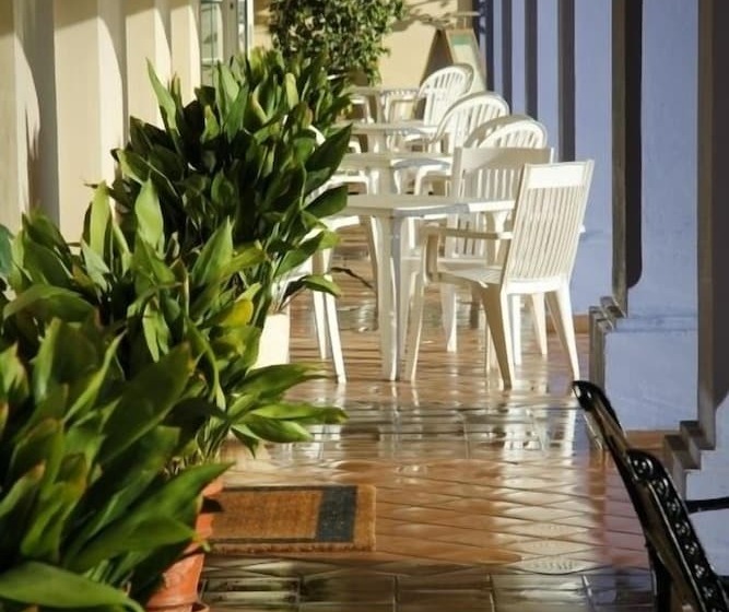 Отель Piedra Paloma