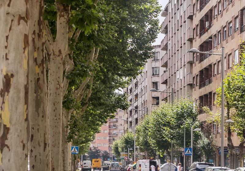 فندق Residencia Castellano I