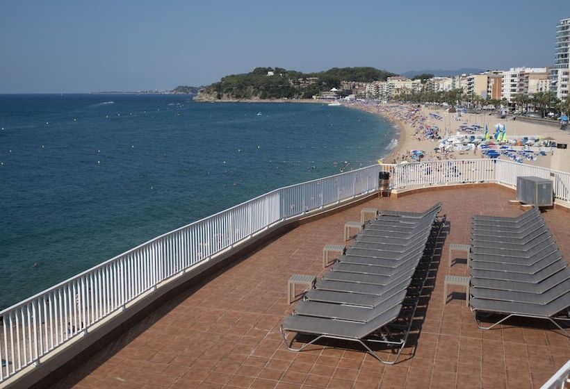 酒店 Rosamar Maxim 4  Adults Only