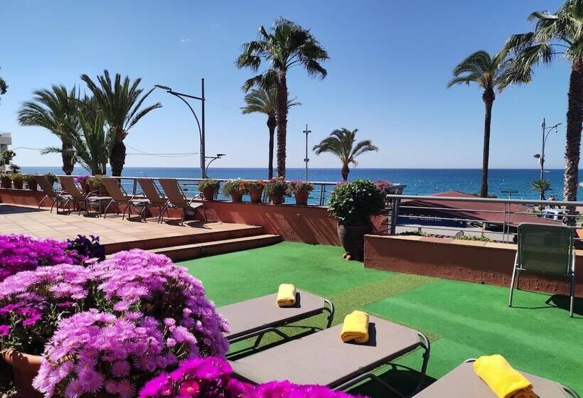 Отель Rosamar & Spa 4s