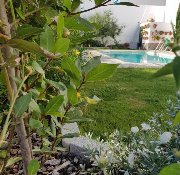 בית מלון כפרי Entreolivos