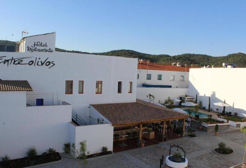 בית מלון כפרי Entreolivos