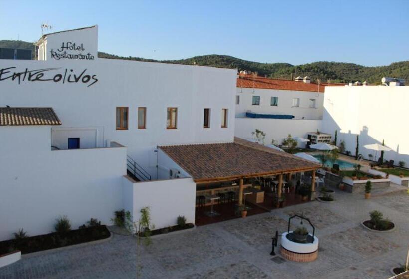 בית מלון כפרי Entreolivos