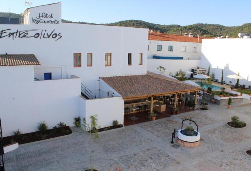 בית מלון כפרי Entreolivos