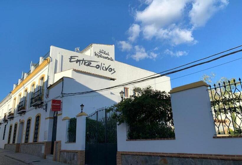 בית מלון כפרי Entreolivos