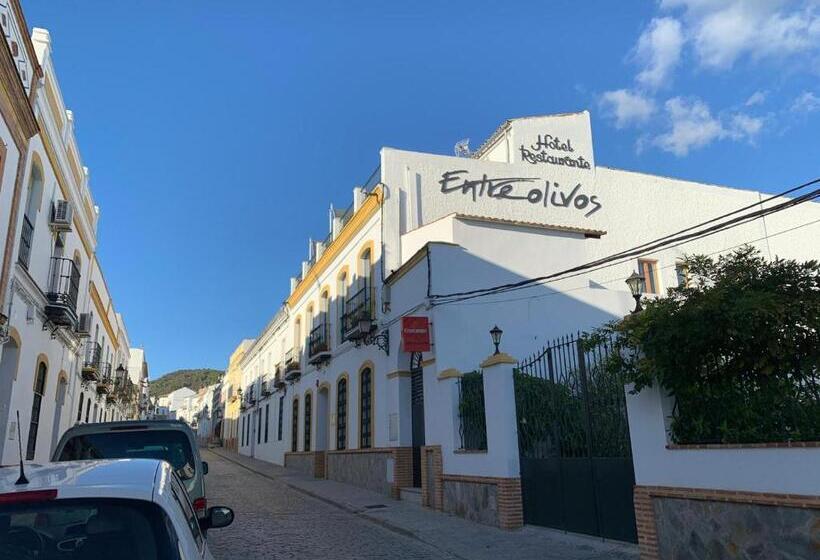 בית מלון כפרי Entreolivos