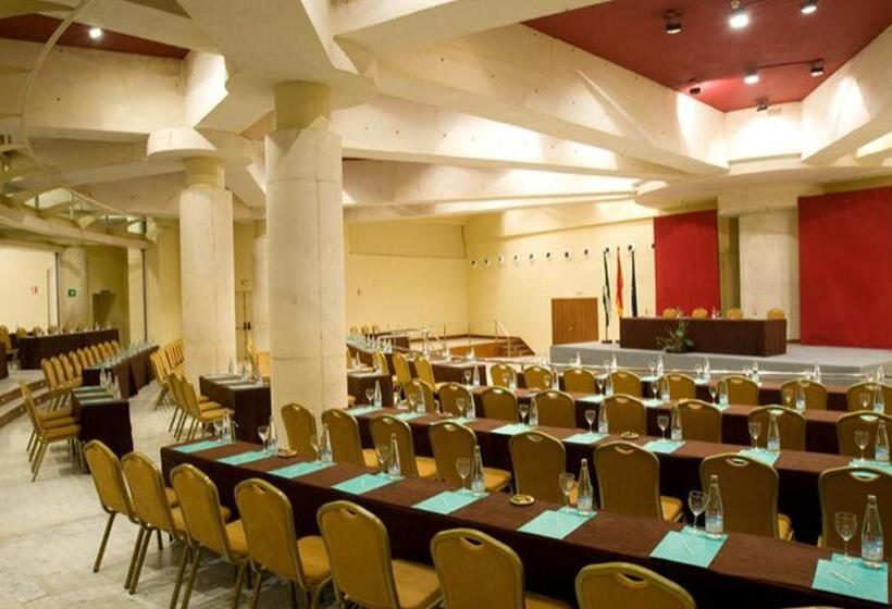 酒店 Silken Alandalus Palace