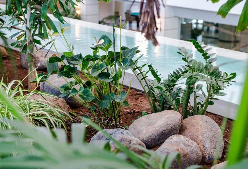 Spring Hotel Vulcano