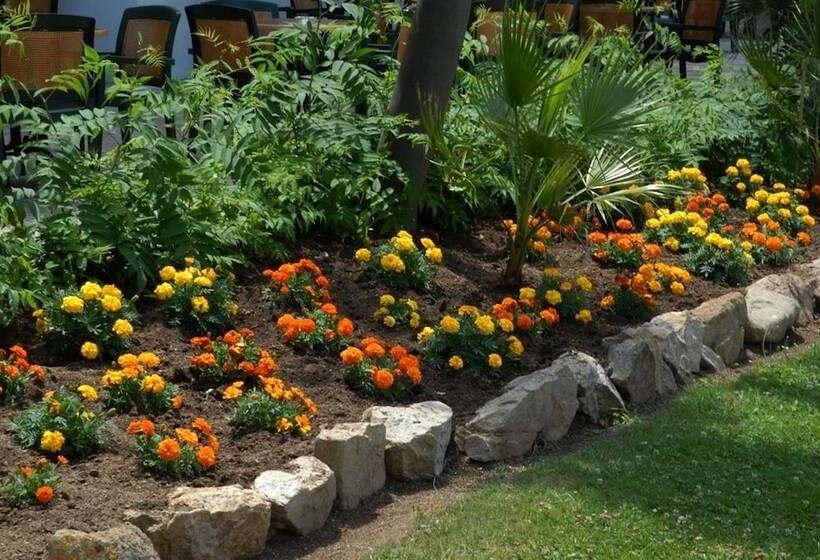 בית מלון כפרי Surf Mar