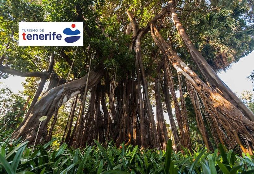 בית מלון כפרי Tigaiga