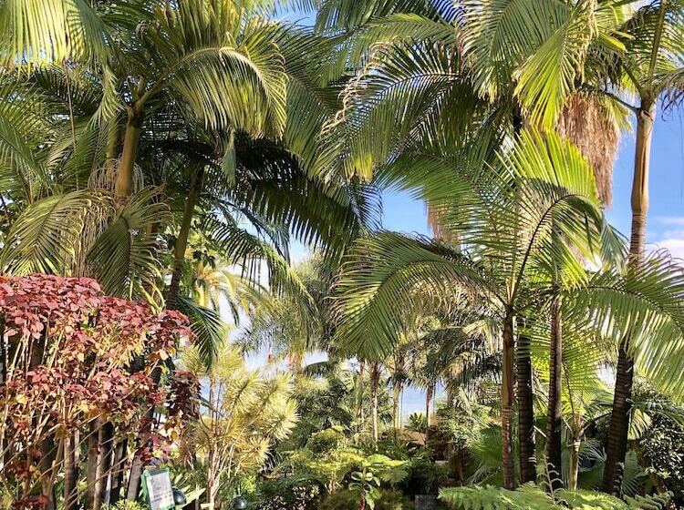 בית מלון כפרי Tigaiga