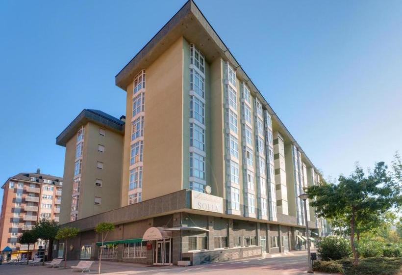 Hotel Valladolid Sofía Parquesol