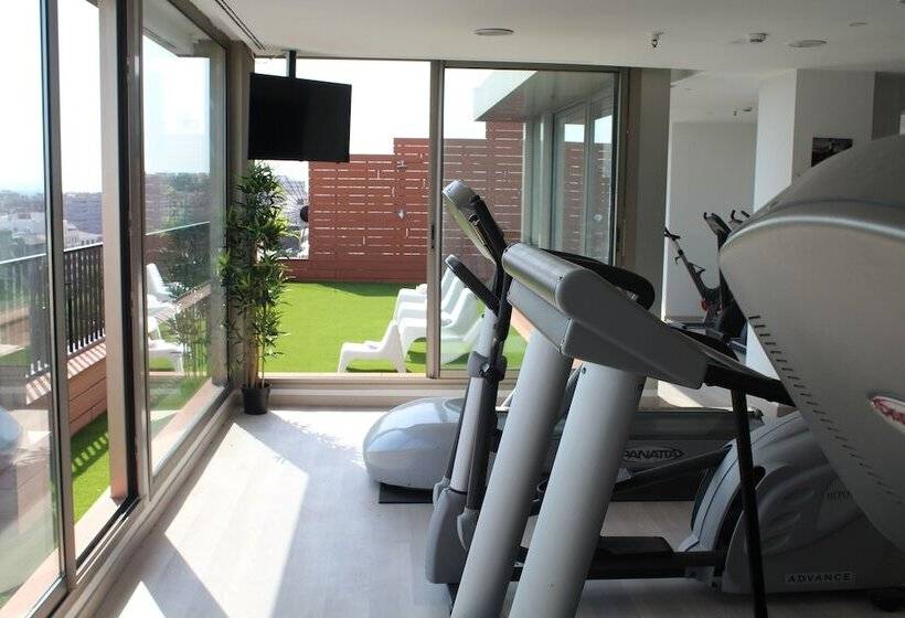 Отель Zenit Don Yo