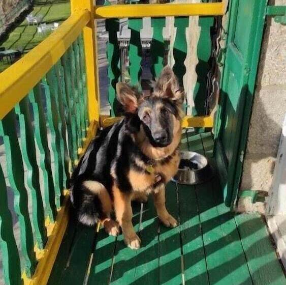 בית מלון כפרי Adsera