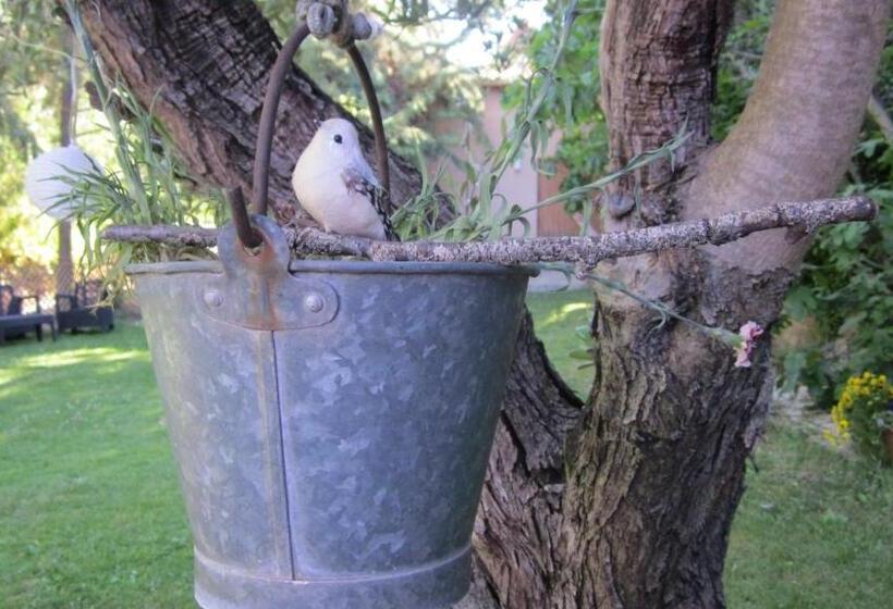 酒店 Complejo Molí De L Hereu