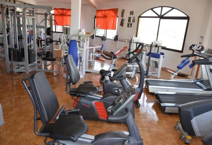 Отель Complejo Turistico La Pinada