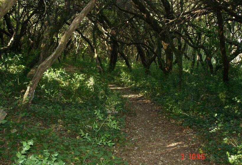 فندق Condado De Miranda