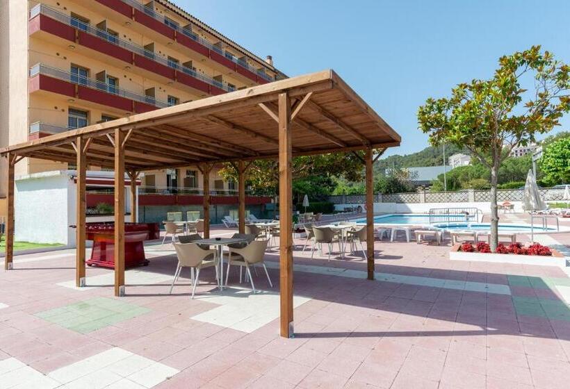 Отель Bluesea Continental