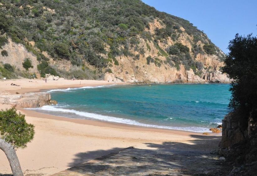 酒店 Hapimag Resort Mas Nou