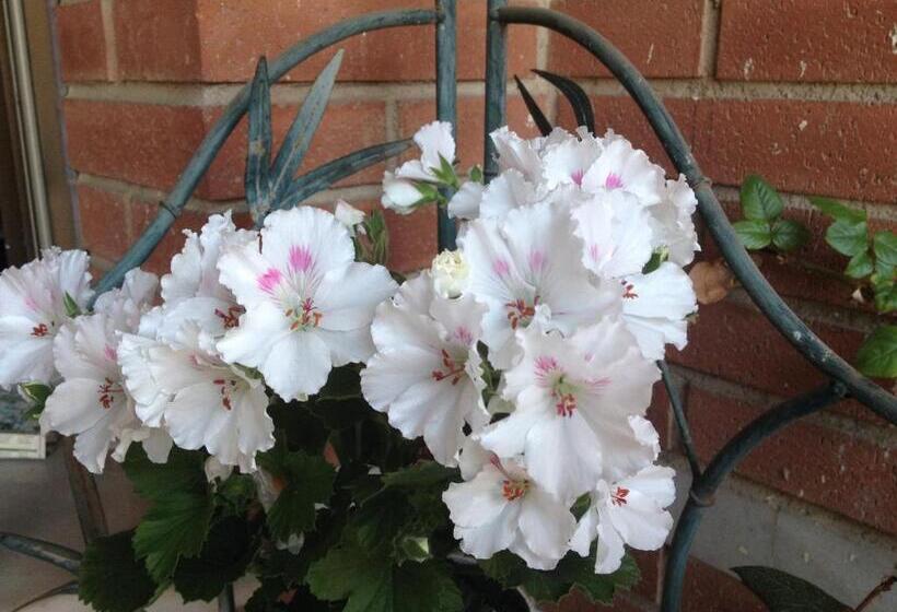 هتل Hostal Alhambra Tarragona