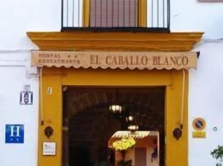 ホテル Hostal El Caballo Blanco