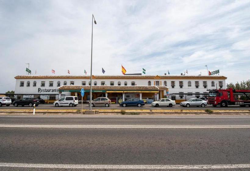 酒店 Hostal El Paisano by OYO Rooms