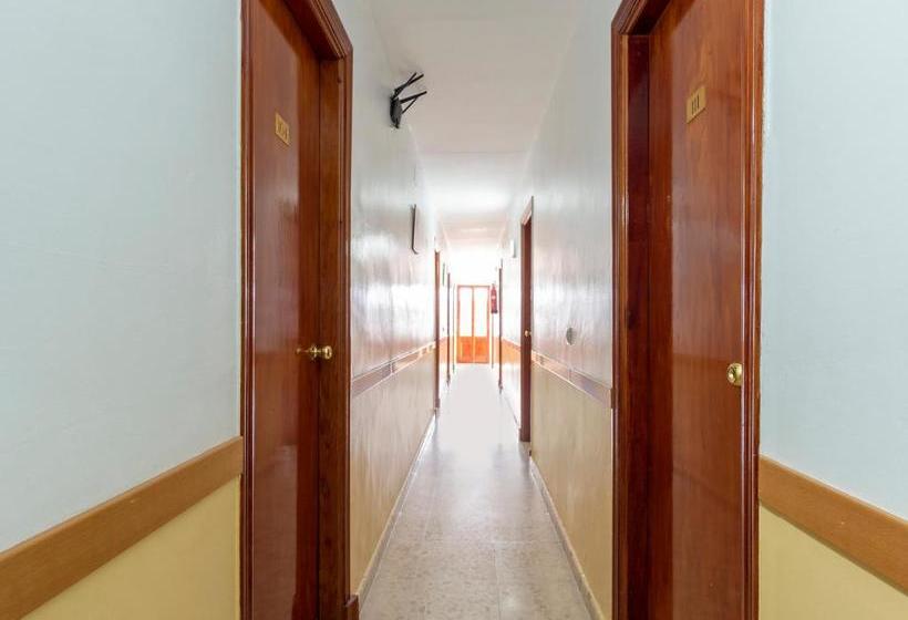 酒店 Hostal El Paisano by OYO Rooms