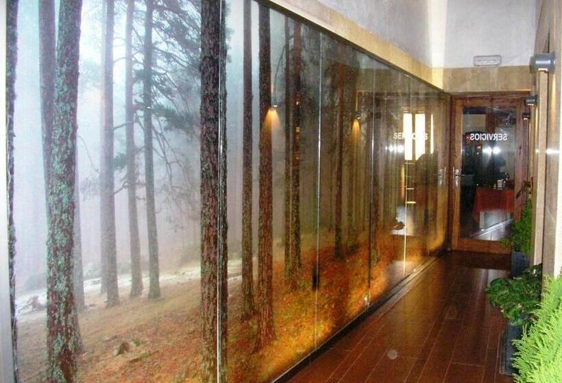 Отель Hostal El Vegano