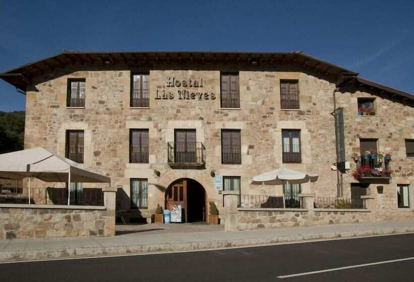 Отель Hostal Las Nieves