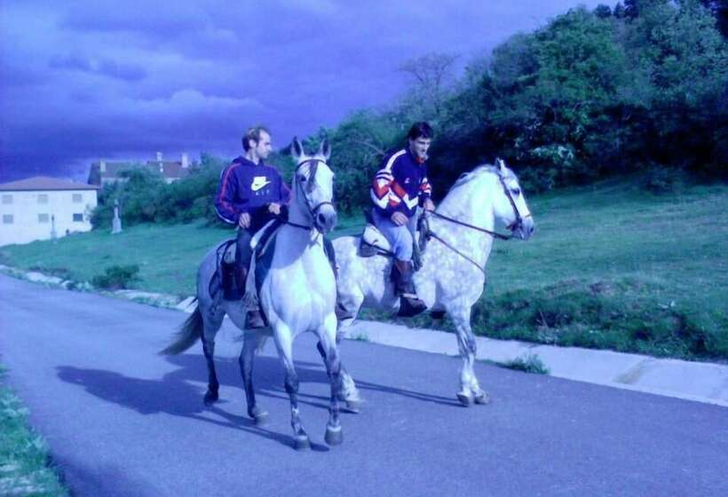 Отель Hostal Las Nieves