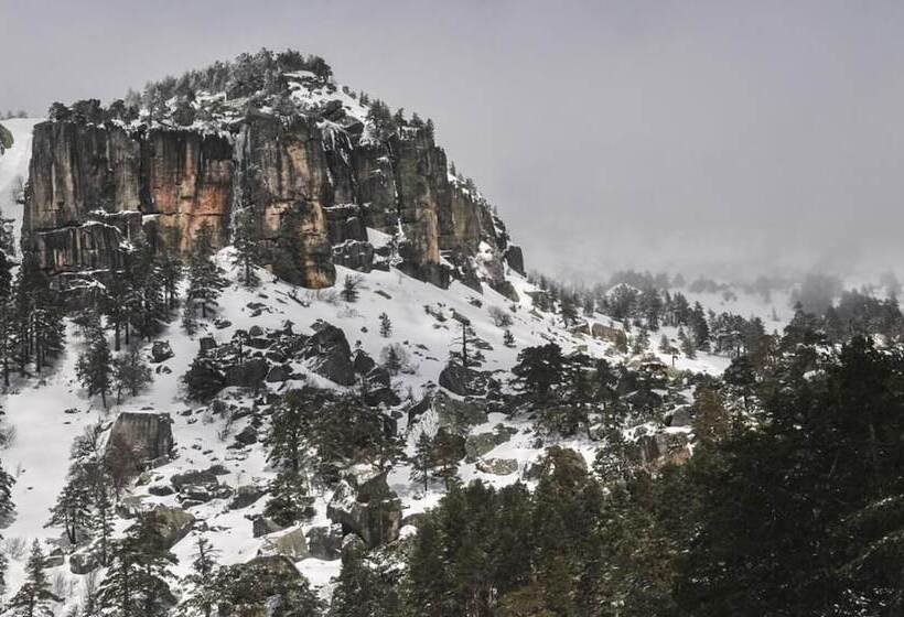 Отель Hostal Las Nieves