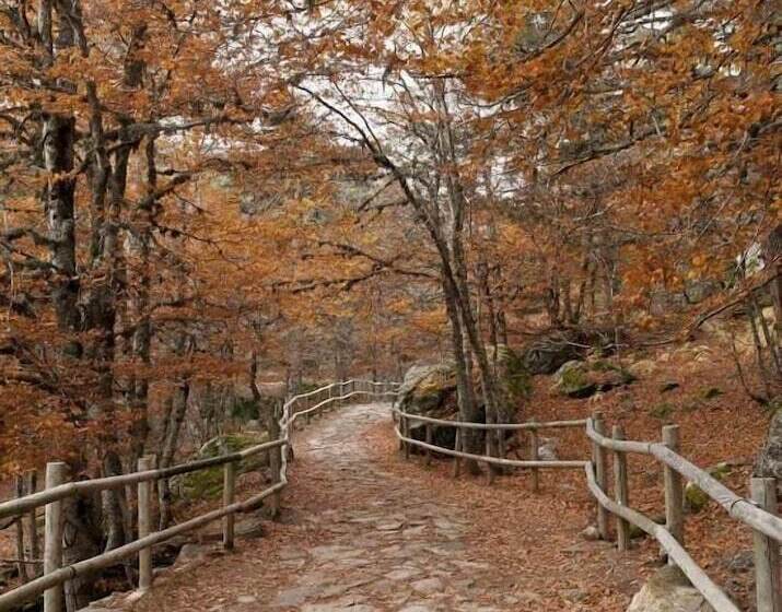 Отель Hostal Las Nieves