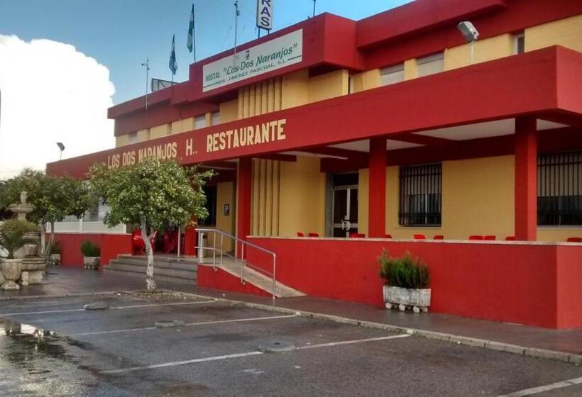 בית מלון כפרי Hostal Los Dos Naranjos