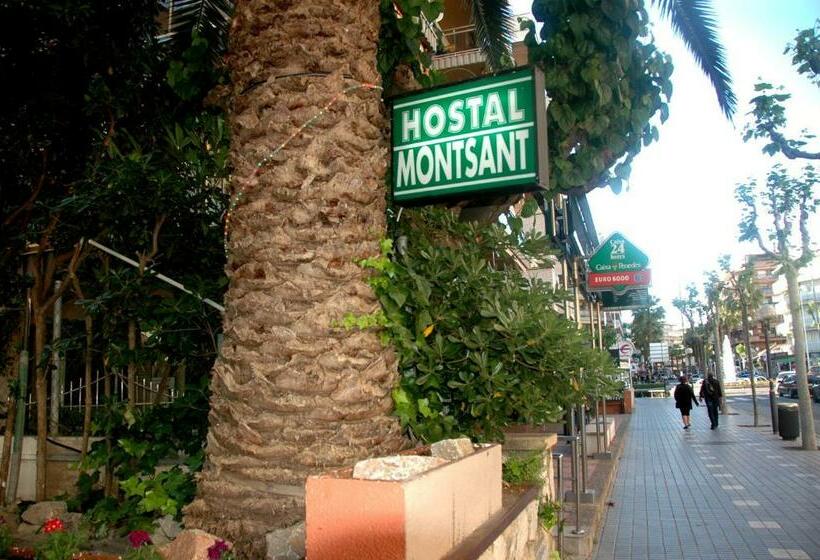 酒店 Hostal Montsant