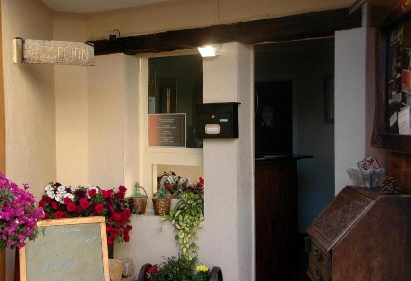 酒店 Hostal Montsant