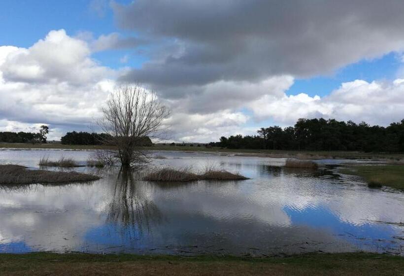 Отель Hostal Romi