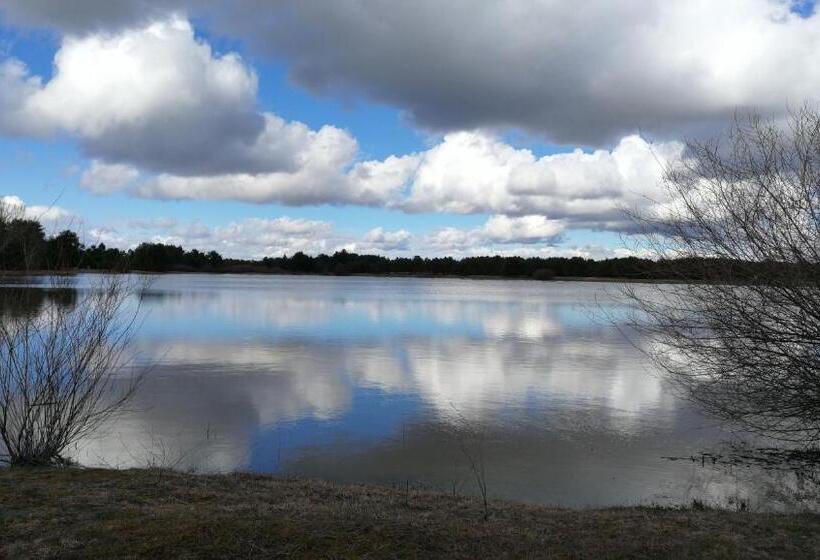 Отель Hostal Romi