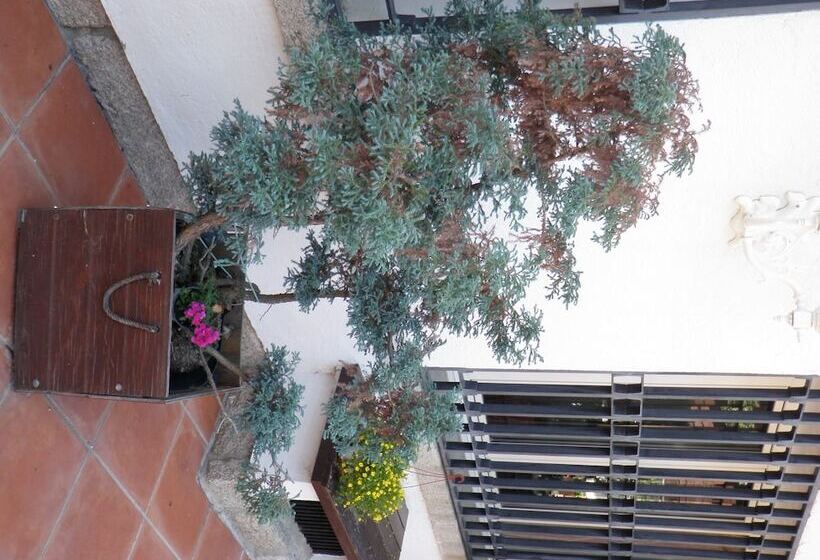 هتل Hostal Siete Picos