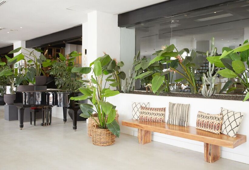 酒店 Dreams Jardin Tropical Resort & Spa