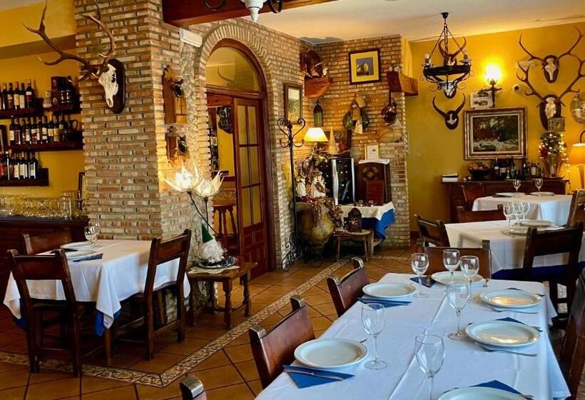 Отель La Finca Mercedes