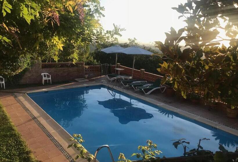 Отель La Finca Mercedes