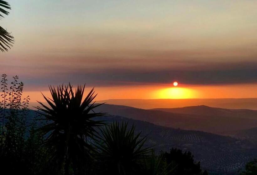 Отель La Finca Mercedes