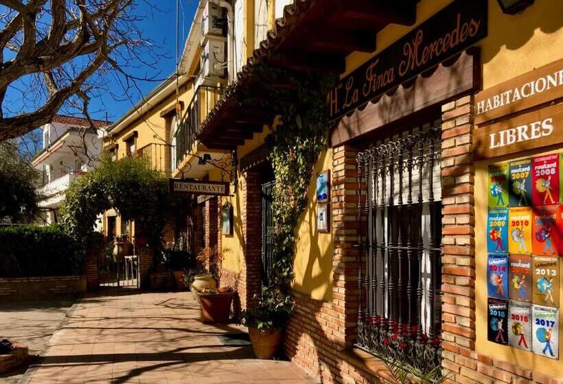 Отель La Finca Mercedes