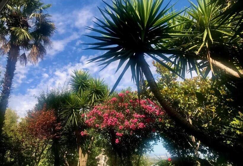 Отель La Finca Mercedes